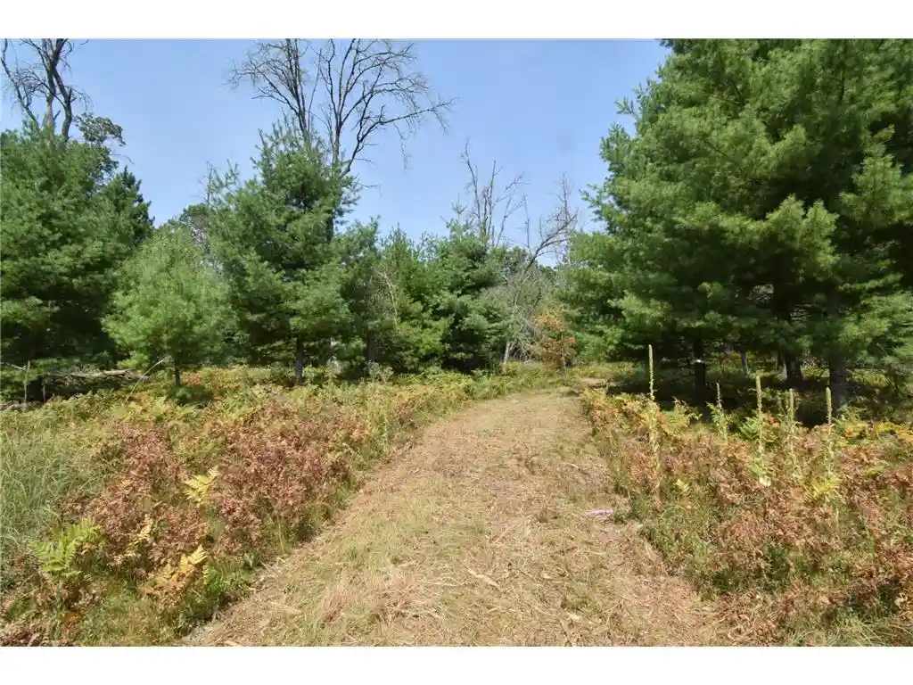 2nd image of Lot 1 Pleasant Acres Trail Trail, Danbury, WI 54830 | MLS# 7124867