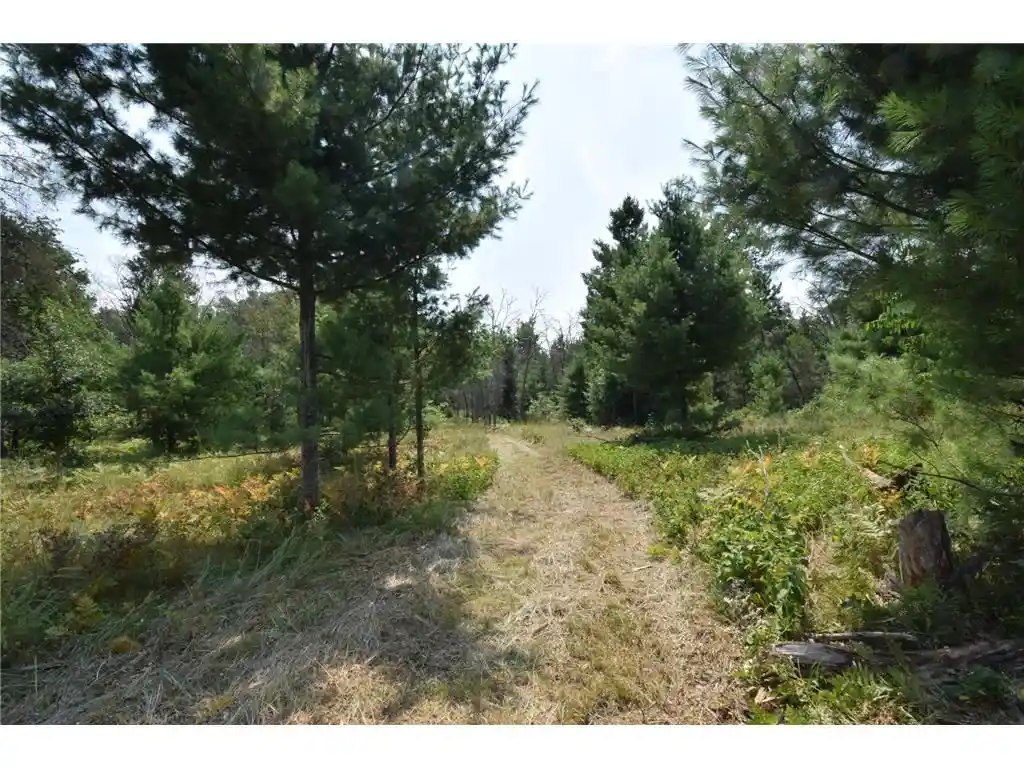 3rd image of Lot 1 Pleasant Acres Trail Trail, Danbury, WI 54830 | MLS# 7124867
