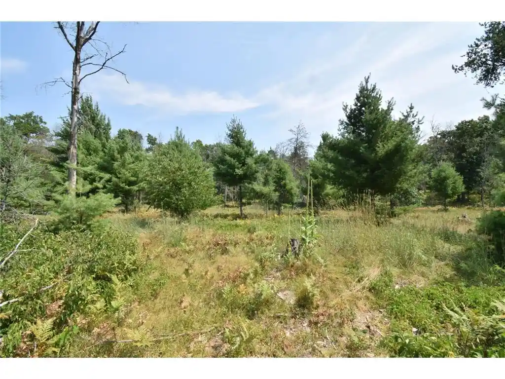 4th image of Lot 1 Pleasant Acres Trail Trail, Danbury, WI 54830 | MLS# 7124867