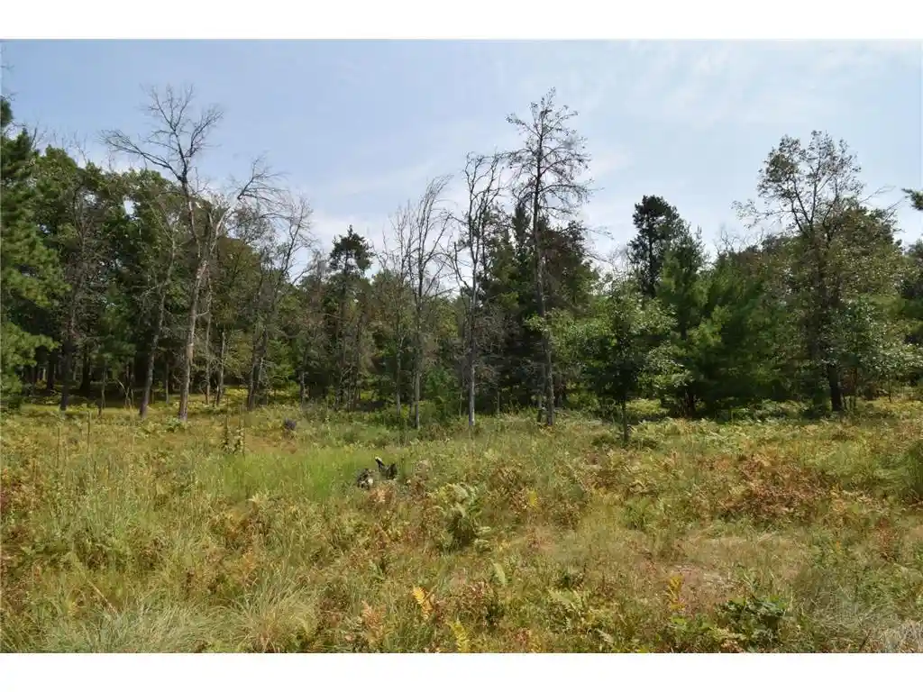 5th image of Lot 1 Pleasant Acres Trail Trail, Danbury, WI 54830 | MLS# 7124867