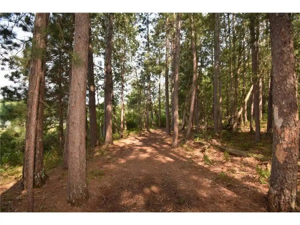 3rd image of Lot 4 South Point Trail Trail, Danbury, WI 54830 | MLS# 7125027