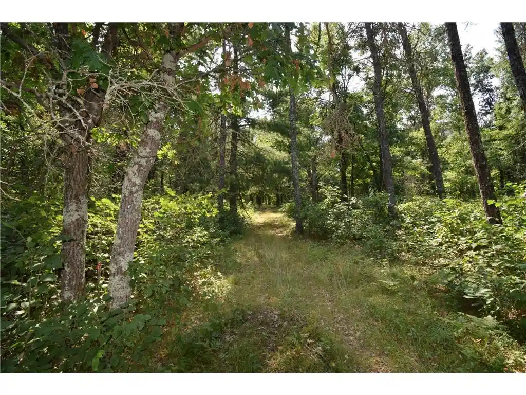 4th image of Lot 4 South Point Trail Trail, Danbury, WI 54830 | MLS# 7125027