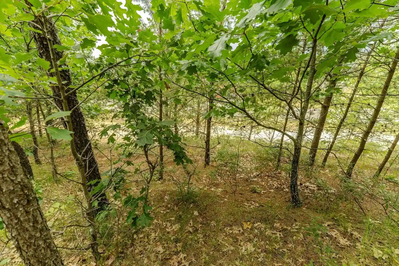 2nd image of 222 Marsh Lane Lane, Warrens, WI 54666 | MLS# 2030151