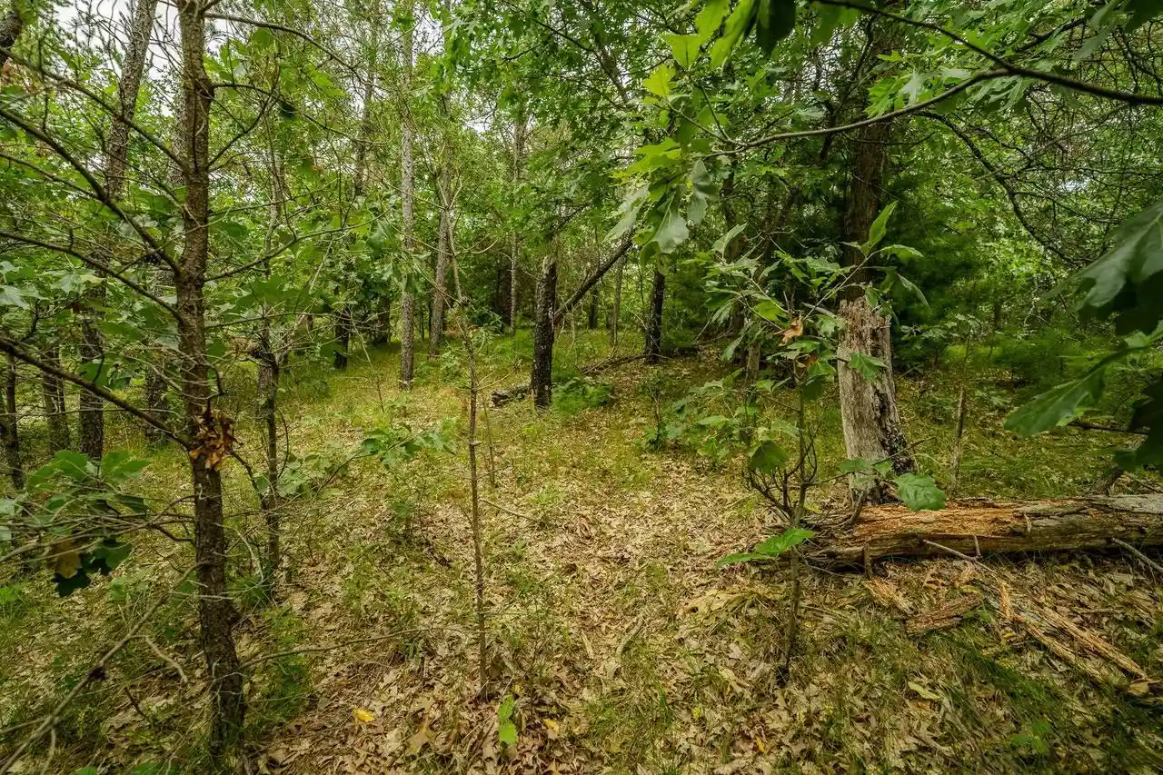 3rd image of 222 Marsh Lane Lane, Warrens, WI 54666 | MLS# 2030151