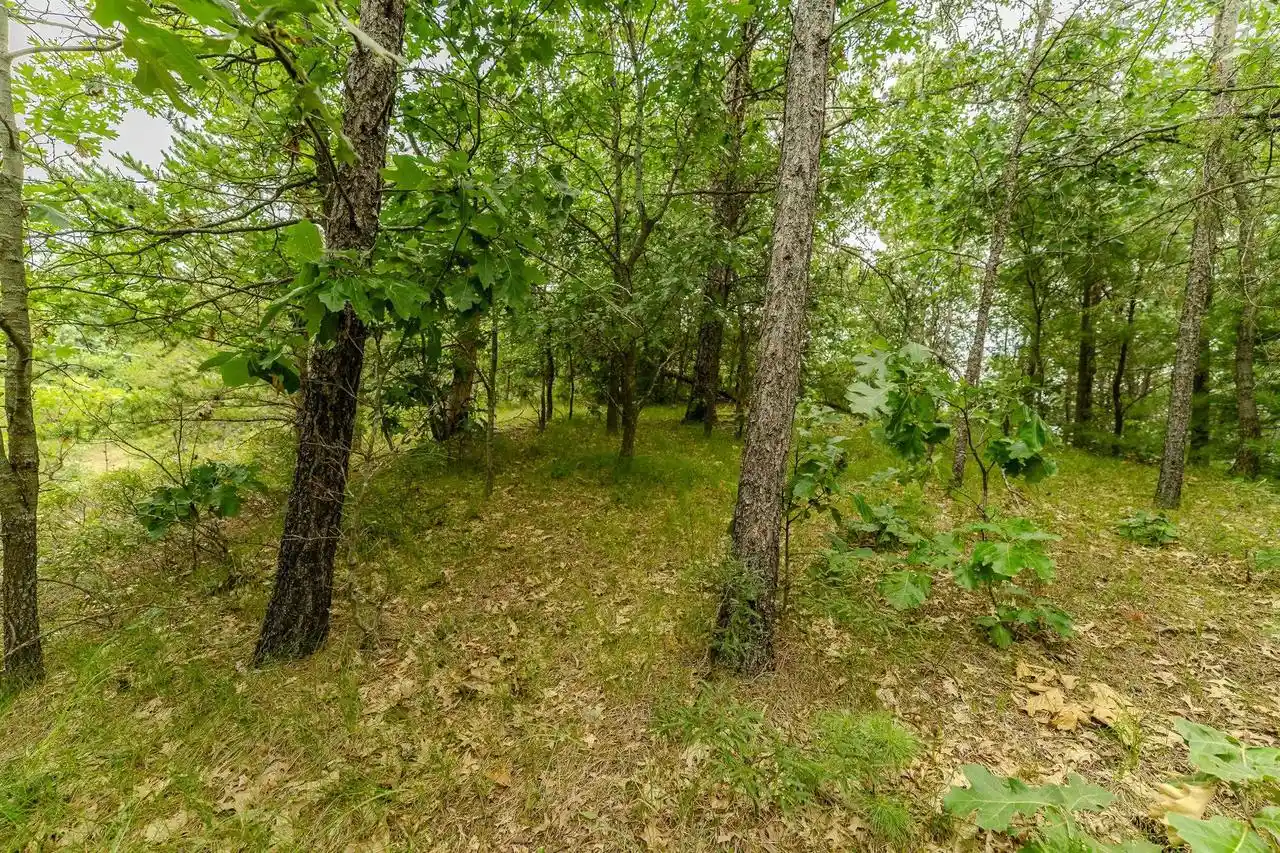 4th image of 222 Marsh Lane Lane, Warrens, WI 54666 | MLS# 2030151