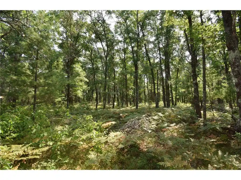 3rd image of Lot 5 South Point Trail Trail, Danbury, WI 54830 | MLS# 7125055