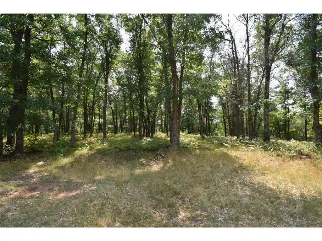 5th image of Lot 5 South Point Trail Trail, Danbury, WI 54830 | MLS# 7125055