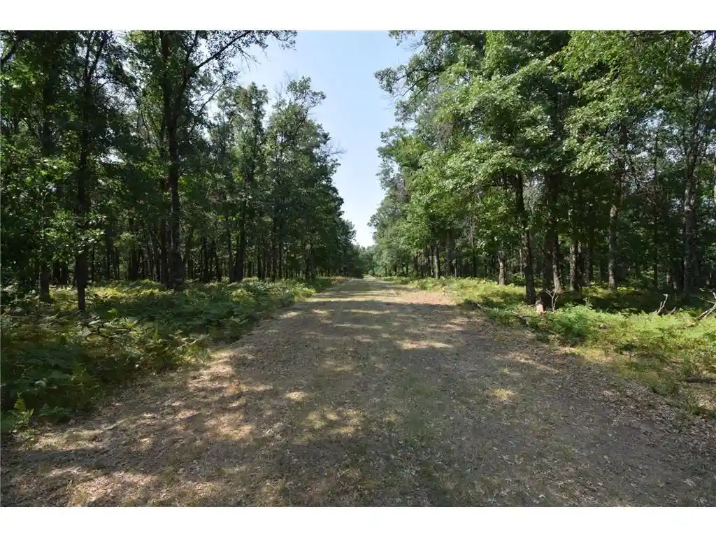 19th image of Lot 5 South Point Trail Trail, Danbury, WI 54830 | MLS# 7125055