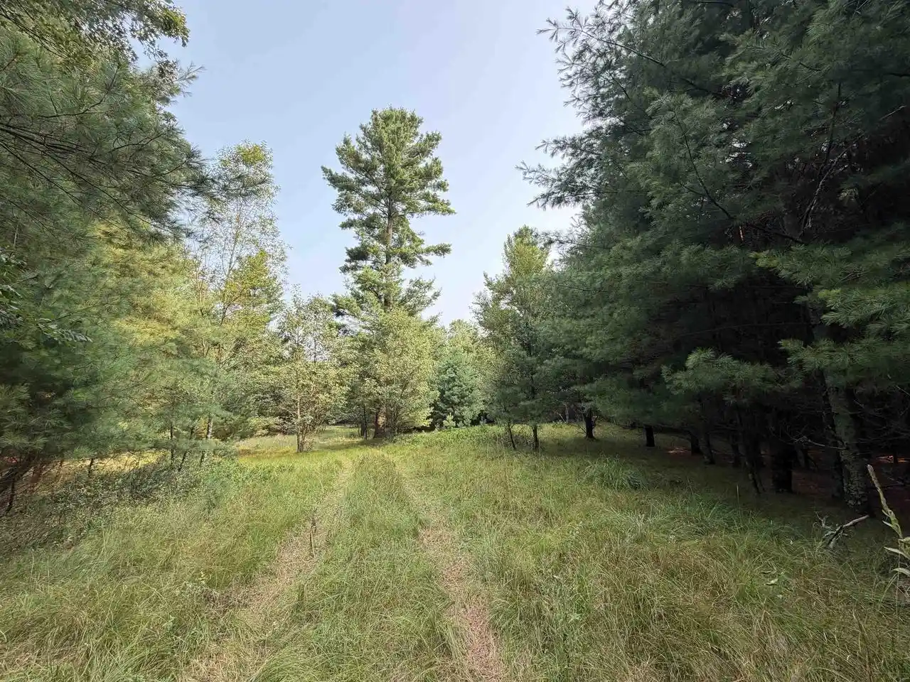 2nd image of 201 N Juneau, Adams, WI 53910 | MLS# 2030153
