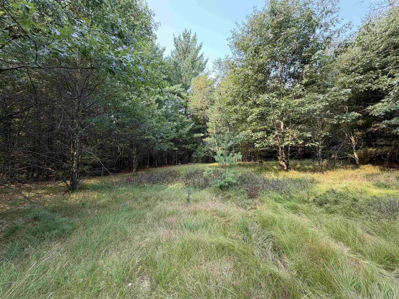 3rd image of 201 N Juneau, Adams, WI 53910 | MLS# 2030153