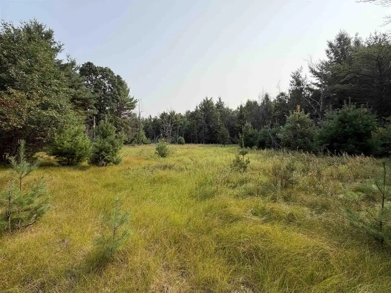 4th image of 201 N Juneau, Adams, WI 53910 | MLS# 2030153