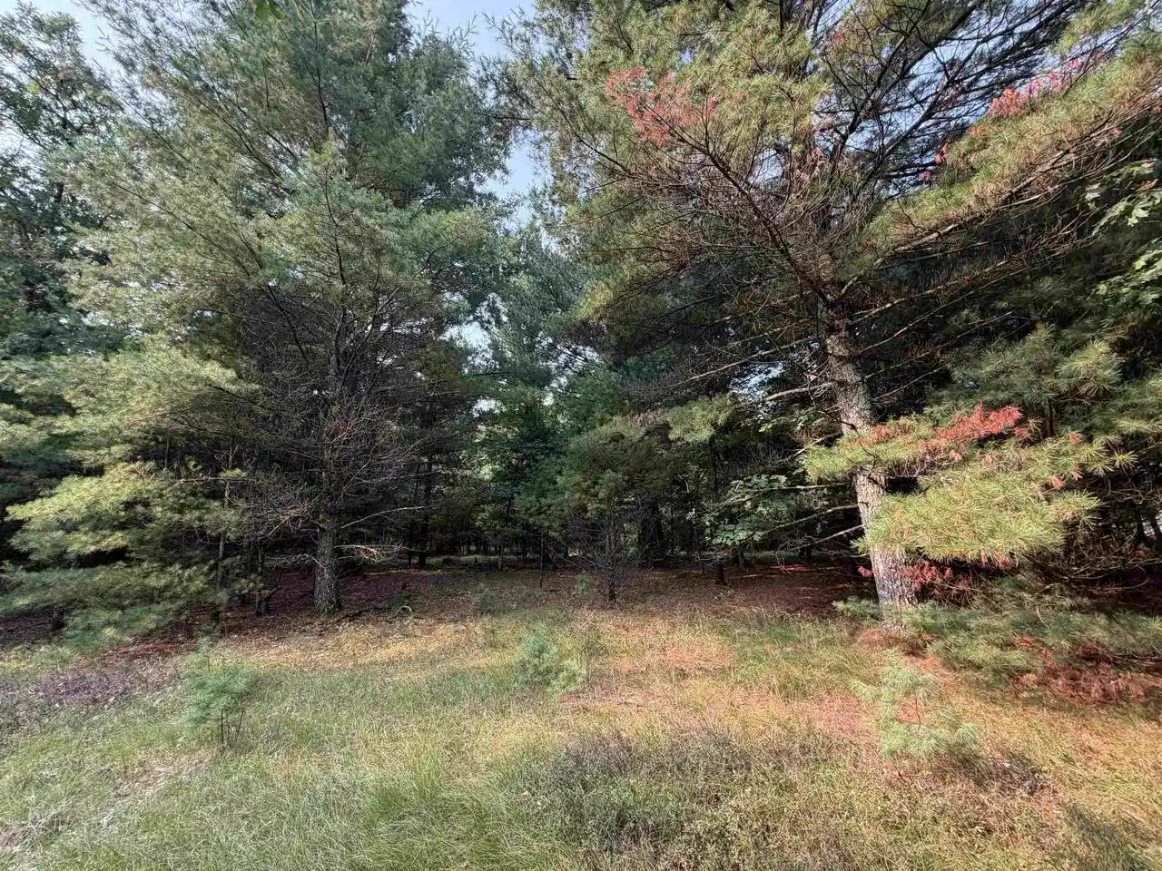 5th image of 201 N Juneau, Adams, WI 53910 | MLS# 2030153