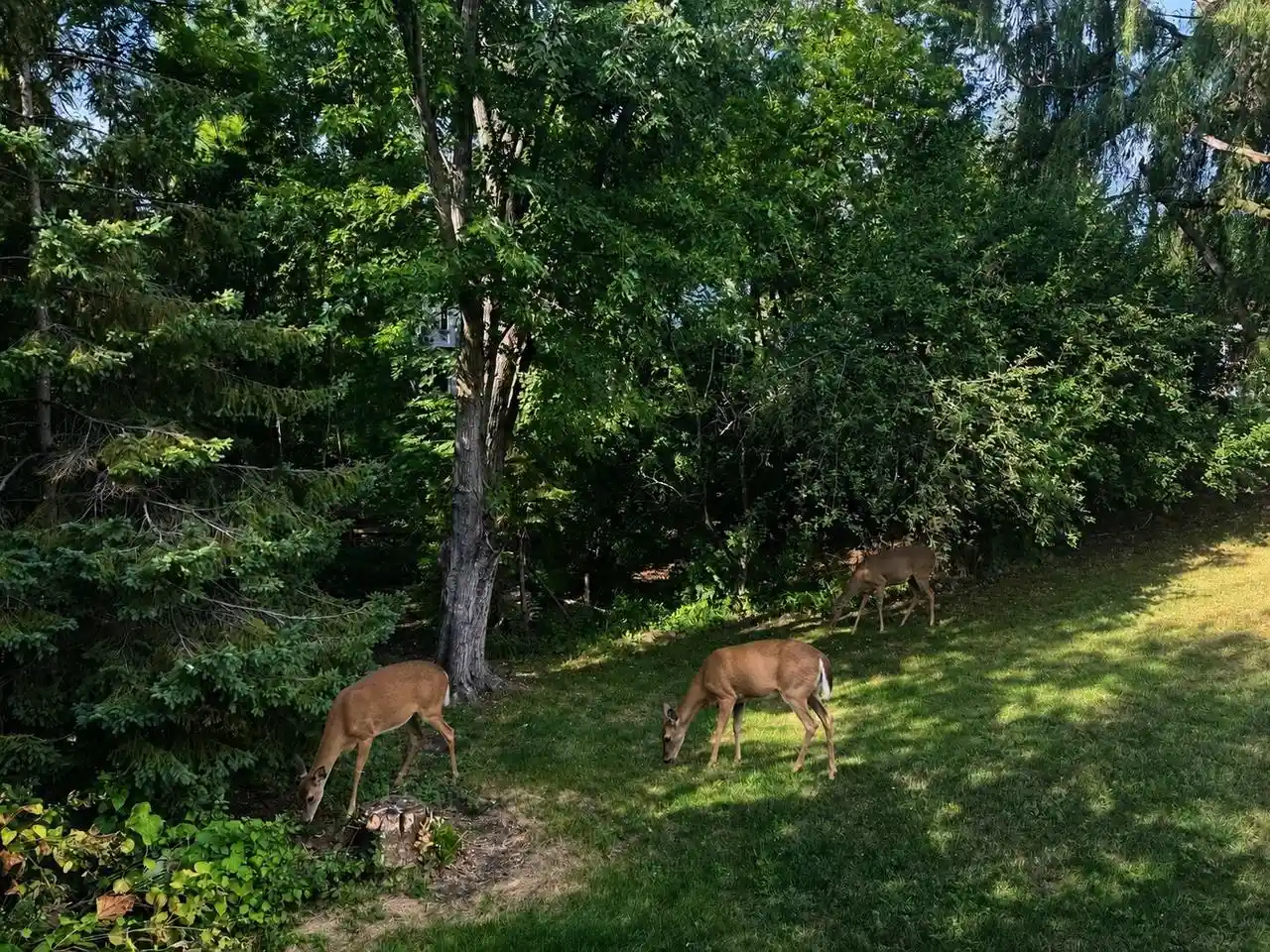 Photo 43 of Single family home for sale at 2719 Woodland Hills Court Court, Green Bay, WI 54311 | MLS# 50330757 | Listing updated on 2026-10-08