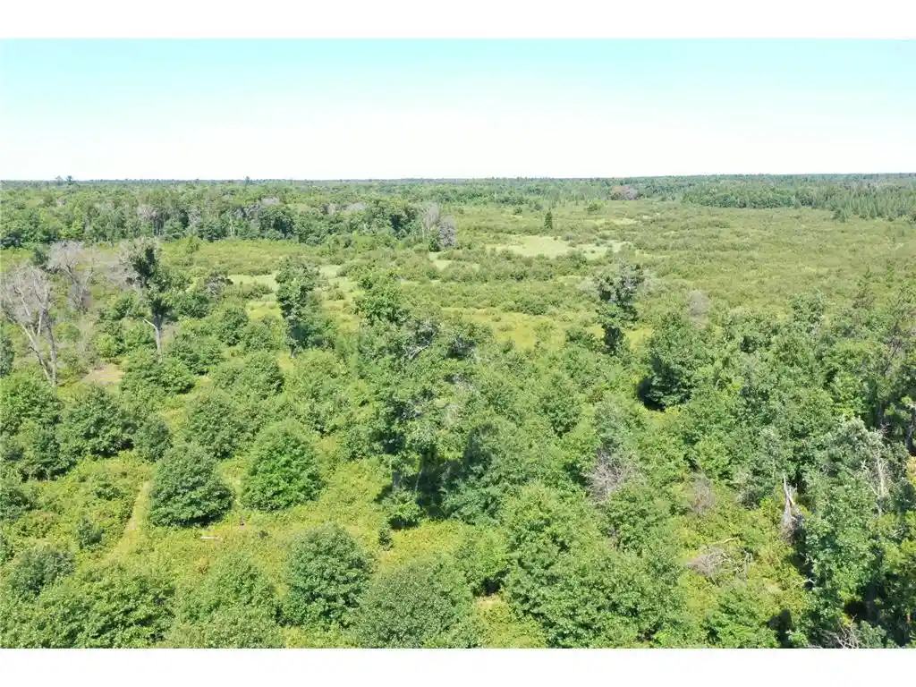 27th image of 14688 Oeltjen Road Road, Grantsburg, WI 54840 | MLS# 7124574
