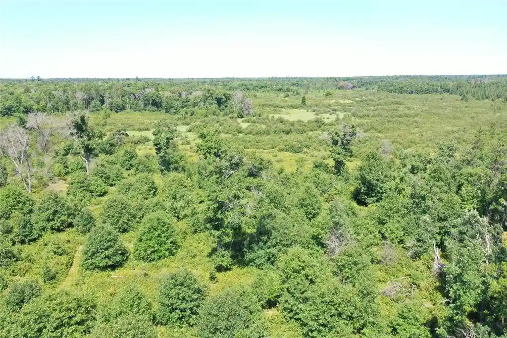 Photo 2 of Sale Pending at 14662 Oeltjen Road Road, Grantsburg, WI 54840 | MLS# 1604070 | Listing updated on 2026-08-28
