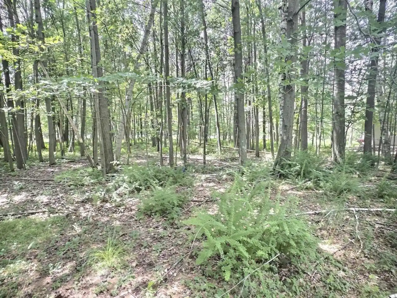 Photo 2 of Land for sale at Buss Court Court, Shawano, WI 54166 | MLS# 50330792 | Listing updated on 2026-08-11