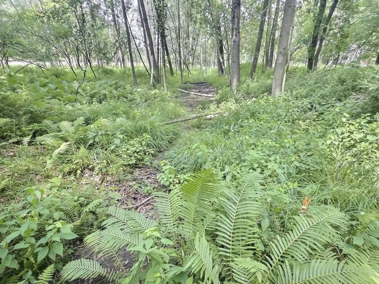 Photo 3 of Land for sale at Buss Court Court, Shawano, WI 54166 | MLS# 50330792 | Listing updated on 2026-08-11