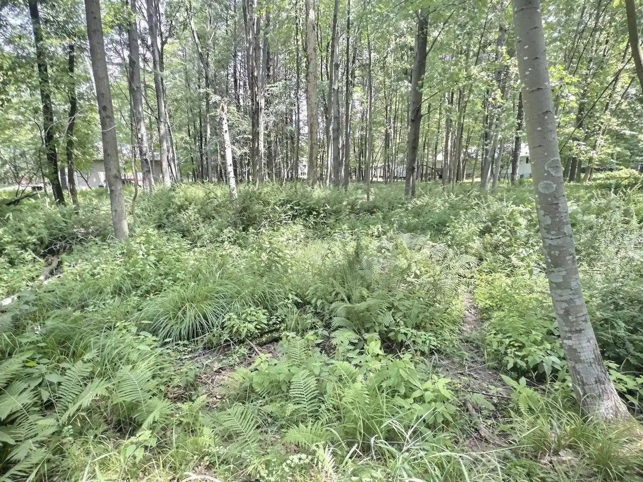 Photo 3 of Land for sale at Buss Court Court, Shawano, WI 54166 | MLS# 50330792 | Listing updated on 2026-08-11