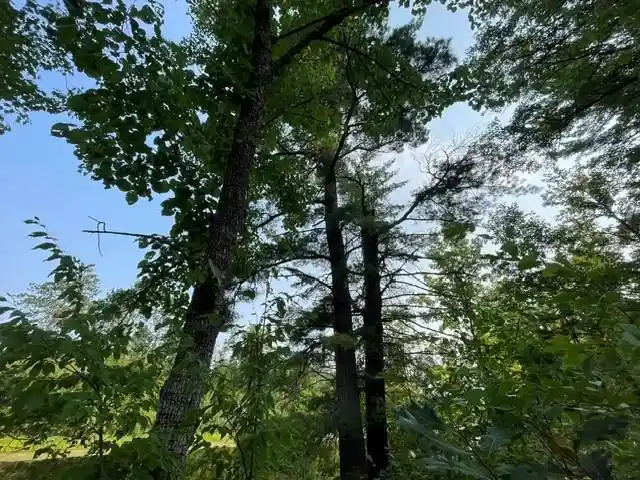 Photo 2 of Land for sale at 0 Colton Road Road, Minong, WI 54859 | MLS# 1604102 | Listing updated on 2026-08-25