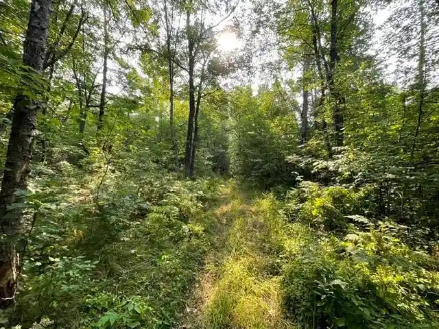 Photo 3 of Land for sale at 0 Colton Road Road, Minong, WI 54859 | MLS# 1604102 | Listing updated on 2026-08-25