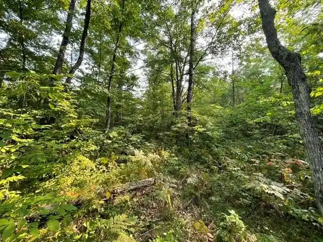 Photo 4 of Land for sale at 0 Colton Road Road, Minong, WI 54859 | MLS# 1604102 | Listing updated on 2026-08-25