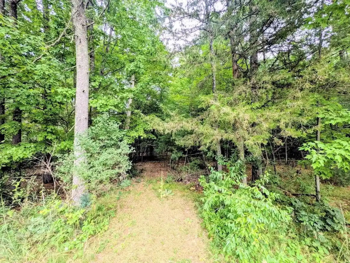 1st image of 0 County Road C Road Road, Arkdale, WI 54613 | MLS# 2030208