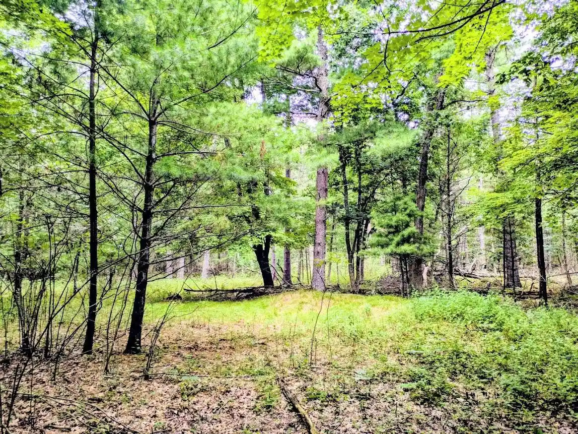 4th image of 0 County Road C Road Road, Arkdale, WI 54613 | MLS# 2030208