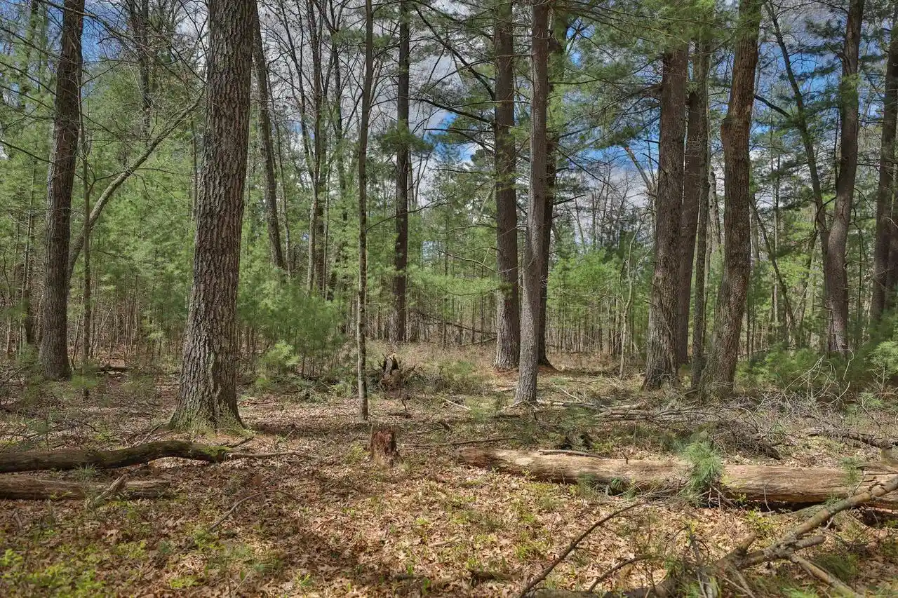 2nd image of Lots 3 & 4 Grayling Ave, Tomah, WI 54660 | MLS# 2030217