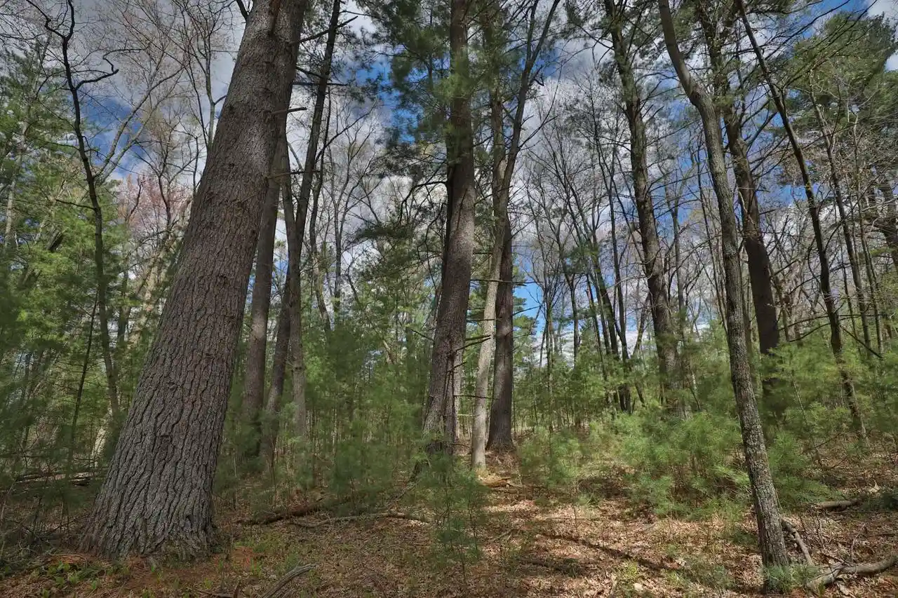 4th image of Lots 3 & 4 Grayling Ave, Tomah, WI 54660 | MLS# 2030217