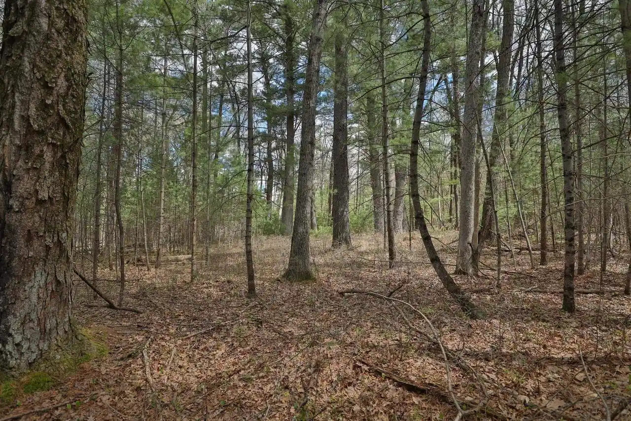 5th image of Lots 3 & 4 Grayling Ave, Tomah, WI 54660 | MLS# 2030217