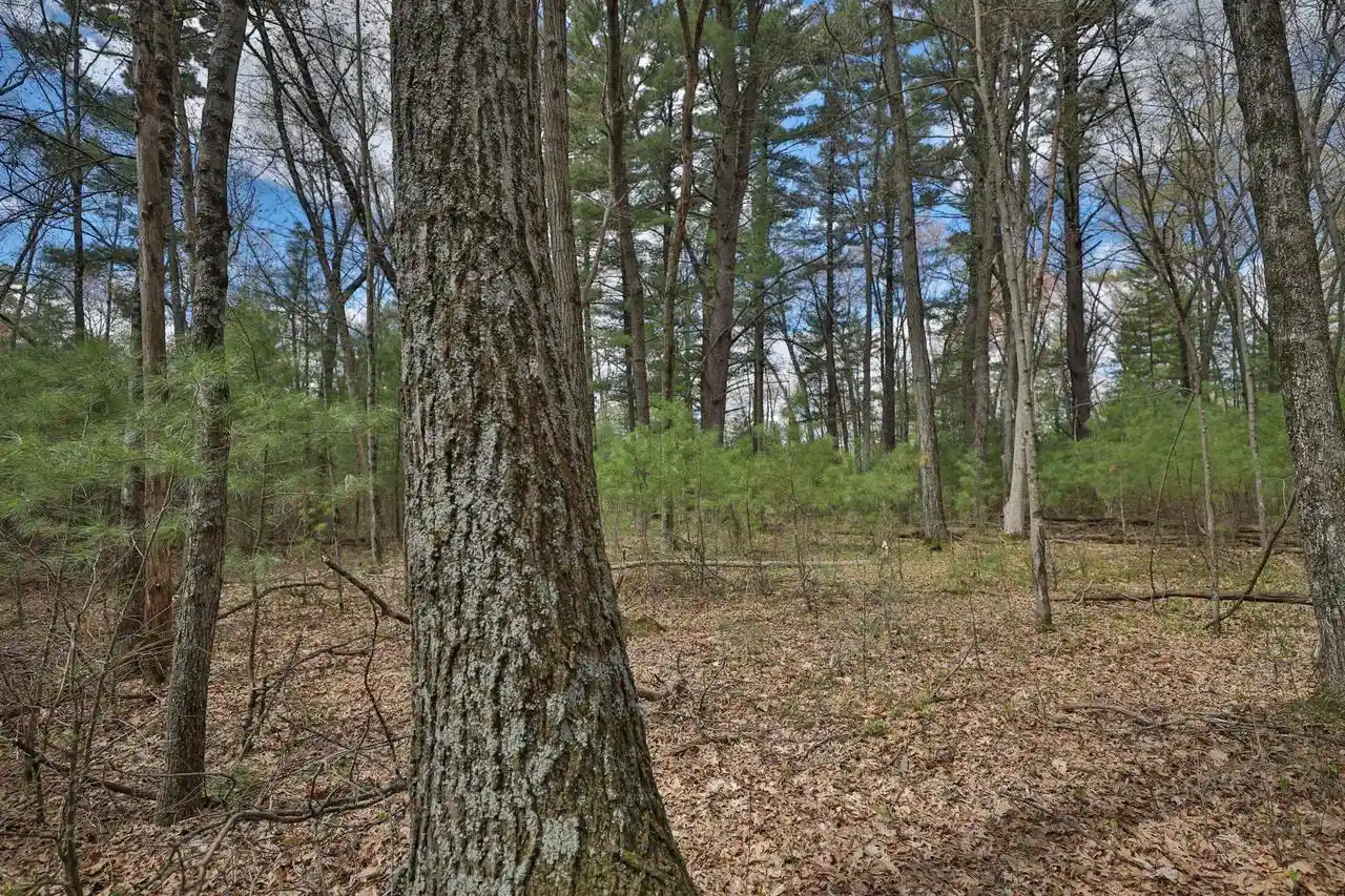 50th image of Lots 3 & 4 Grayling Ave, Tomah, WI 54660 | MLS# 2030217