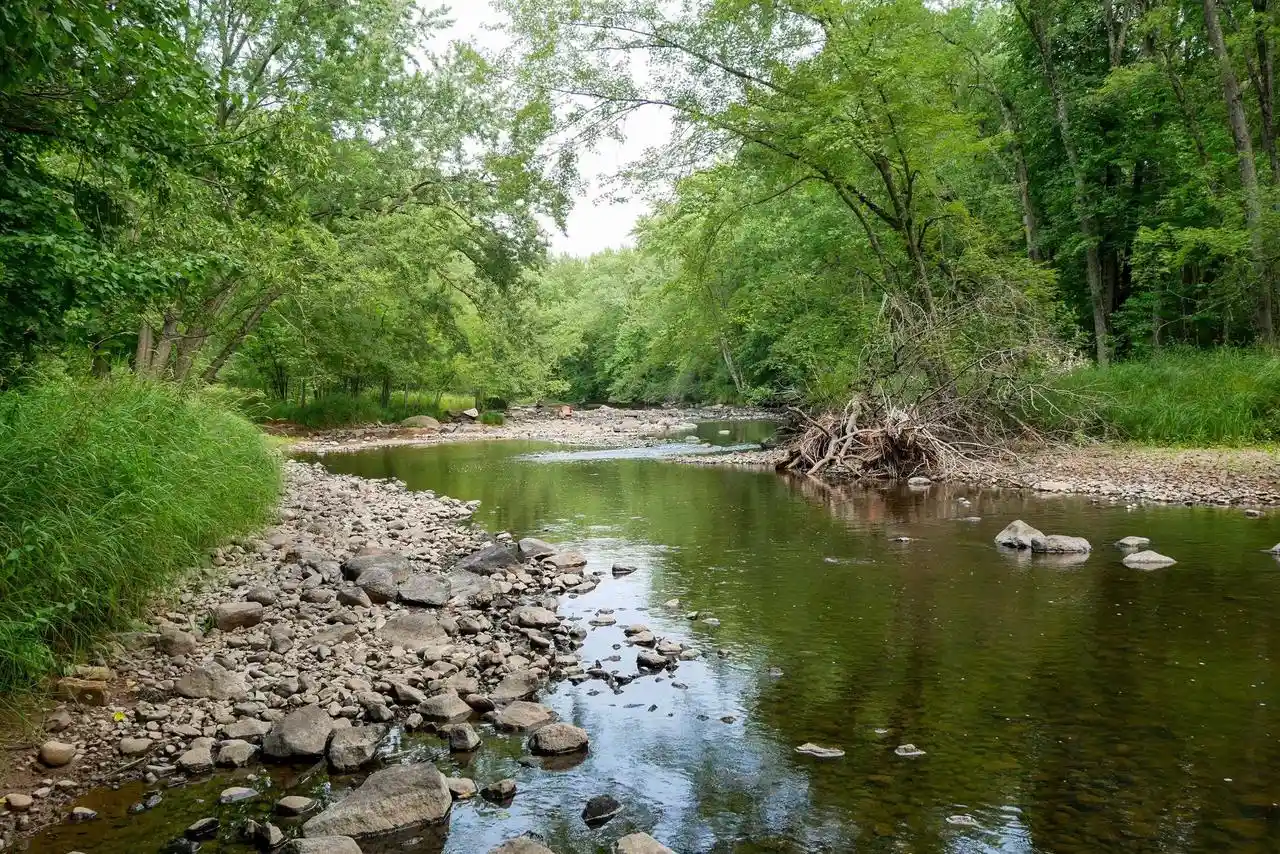 1st image of +/ 239 Acres W Riverside Dr Dr, Gilman, WI 54433 | MLS# 22603866