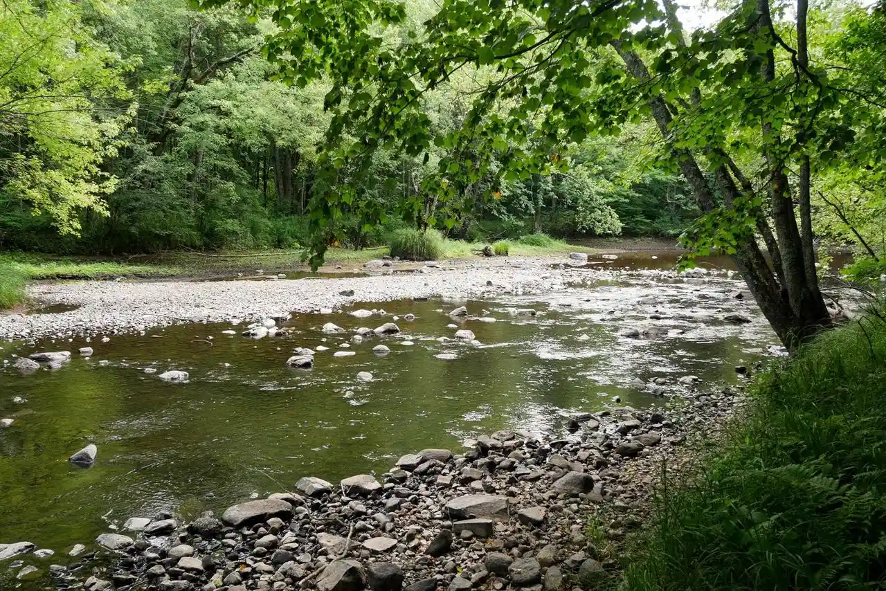 3rd image of +/-239 Acres W Riverside Dr Dr, Gilman, WI 54433 | MLS# 22603866