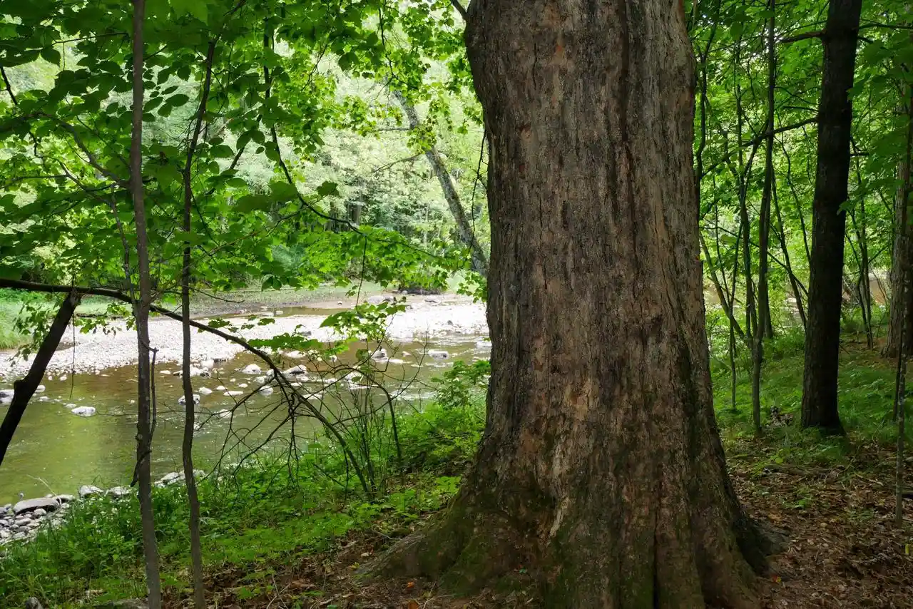 4th image of +/-239 Acres W Riverside Dr Dr, Gilman, WI 54433 | MLS# 22603866