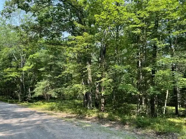Photo 2 of Land for sale at Steffen Lane Lane, Pembine, WI 54156 | MLS# 50330820 | Listing updated on 2026-08-13