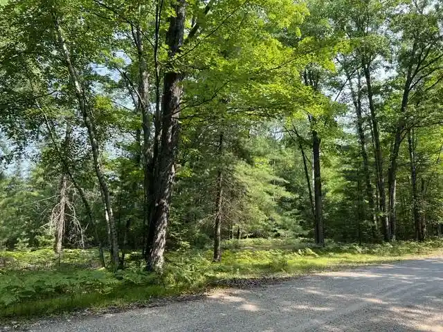 Photo 3 of Land for sale at Steffen Lane Lane, Pembine, WI 54156 | MLS# 50330820 | Listing updated on 2026-08-13