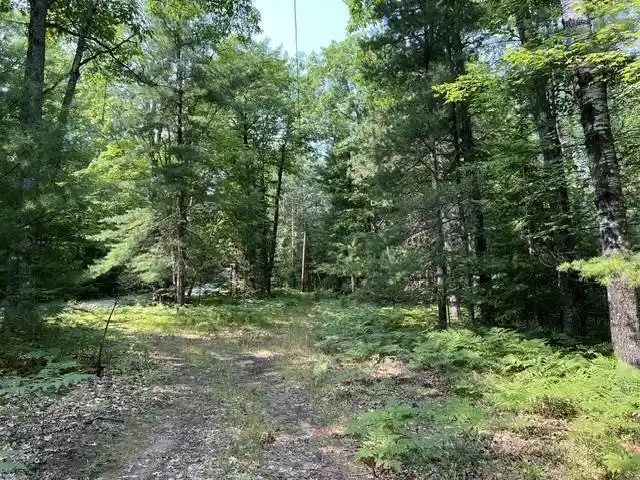 Photo 3 of Land for sale at Steffen Lane Lane, Pembine, WI 54156 | MLS# 50330820 | Listing updated on 2026-08-13