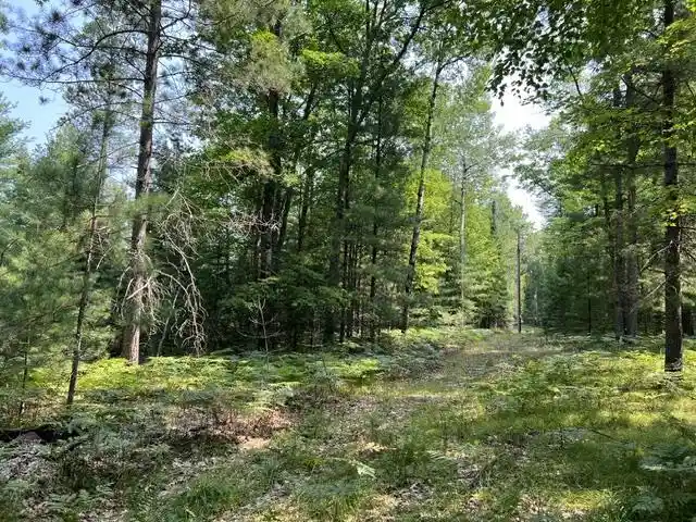 Photo 4 of Land for sale at Steffen Lane Lane, Pembine, WI 54156 | MLS# 50330820 | Listing updated on 2026-08-13