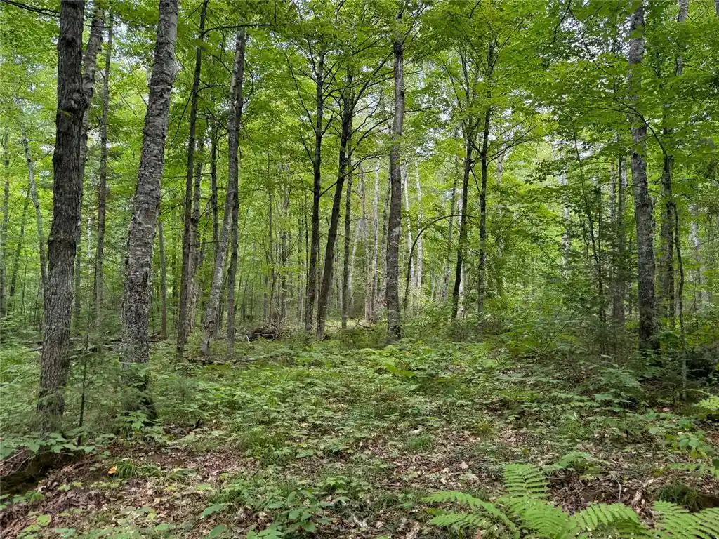 Photo 2 of Land for sale at Lot 4 Scheers Road Road, Hayward, WI 54843 | MLS# 1604063 | Listing updated on 2026-08-12
