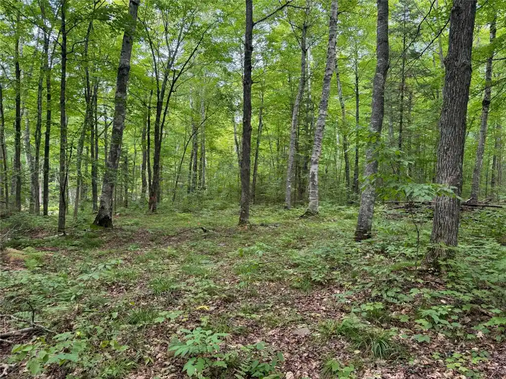 Photo 3 of Land for sale at Lot 4 Scheers Road Road, Hayward, WI 54843 | MLS# 1604063 | Listing updated on 2026-08-12