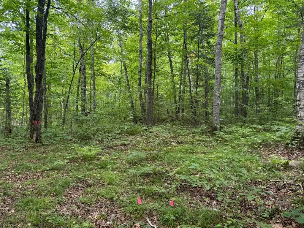 Photo 4 of Land for sale at Lot 4 Scheers Road Road, Hayward, WI 54843 | MLS# 1604063 | Listing updated on 2026-08-12