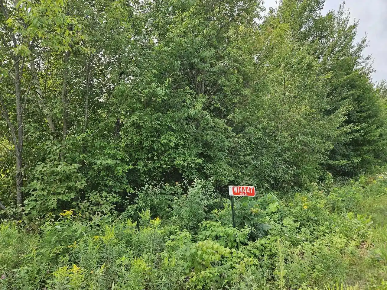 5th image of 1447 Spur Road Road, Sheldon, WI 54766 | MLS# 22603872