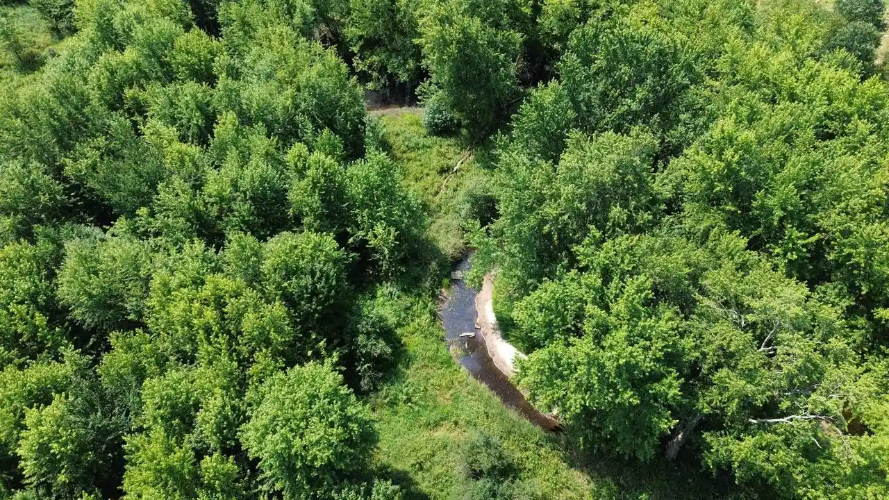 2nd image of 159504 County Road C, Mosinee, WI 54455 | MLS# 22603880