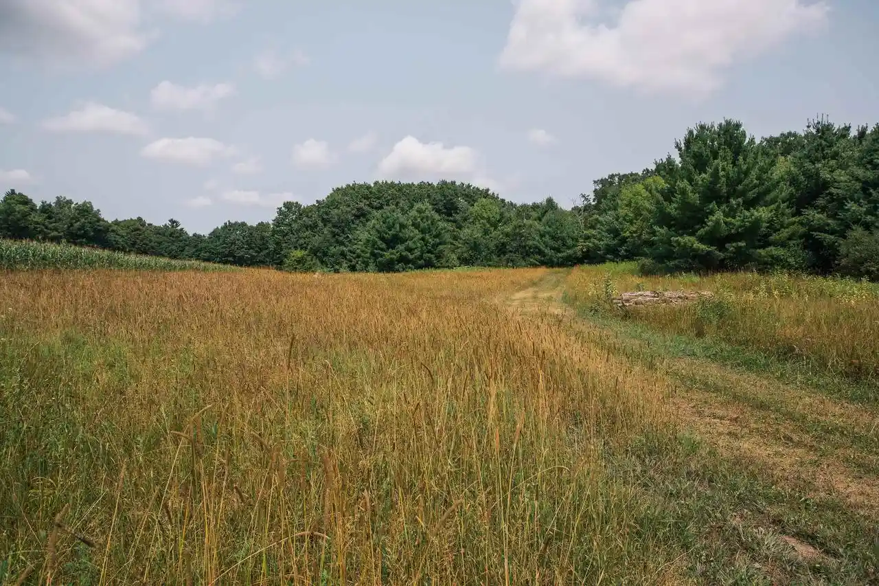 4th image of W6368 Maple Road Road, Neillsville, WI 54456 | MLS# 22603881