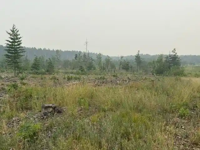 3rd image of Airport Road Road, Crivitz, WI 54114 | MLS# 50330856