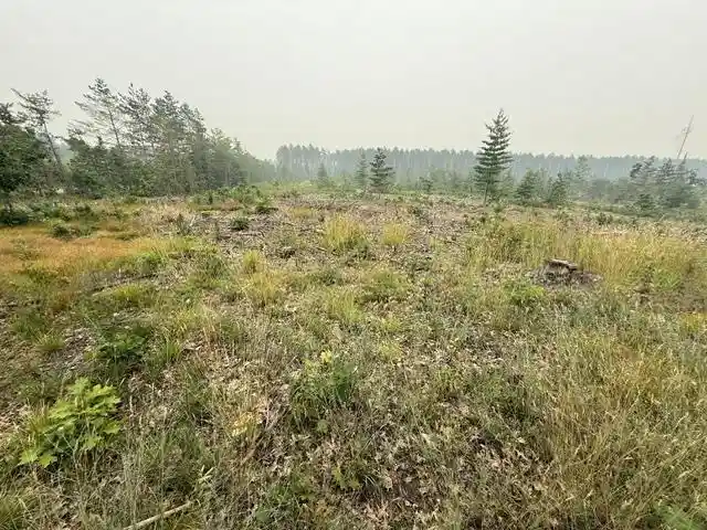 4th image of Airport Road Road, Crivitz, WI 54114 | MLS# 50330856