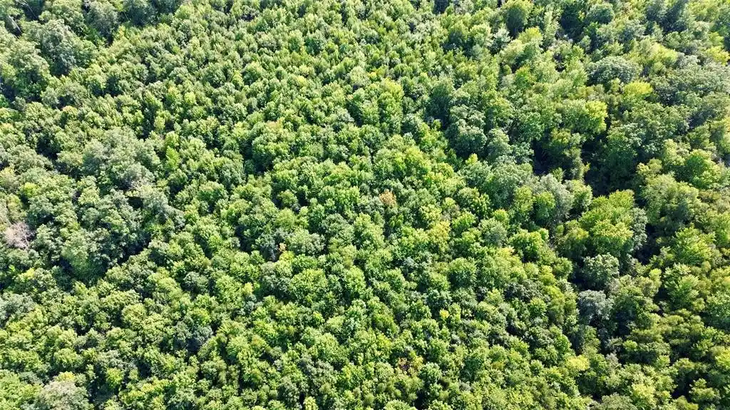 3rd image of Tbd 27Th St, Chetek, WI 54728 | MLS# 1604079