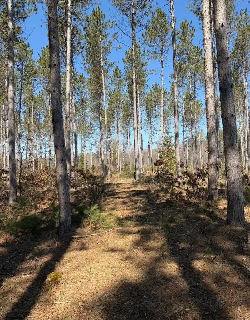 1st image of W10695 Cth X, Crivitz, WI 54114 | MLS# 50330876