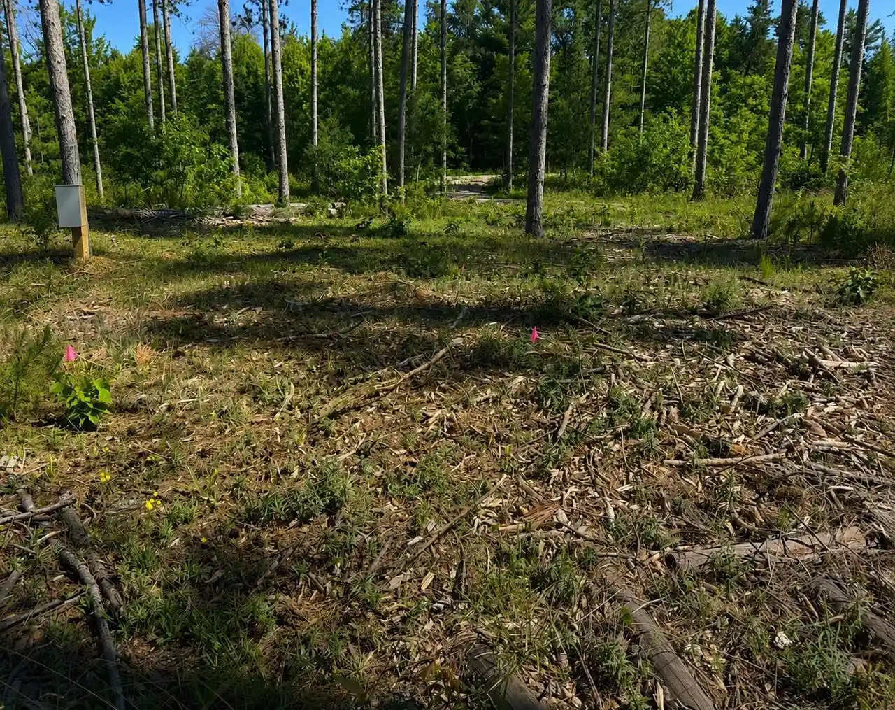 Photo 3 of Land for sale at W10695 Cth X, Crivitz, WI 54114 | MLS# 50330876 | Listing updated on 2026-09-19