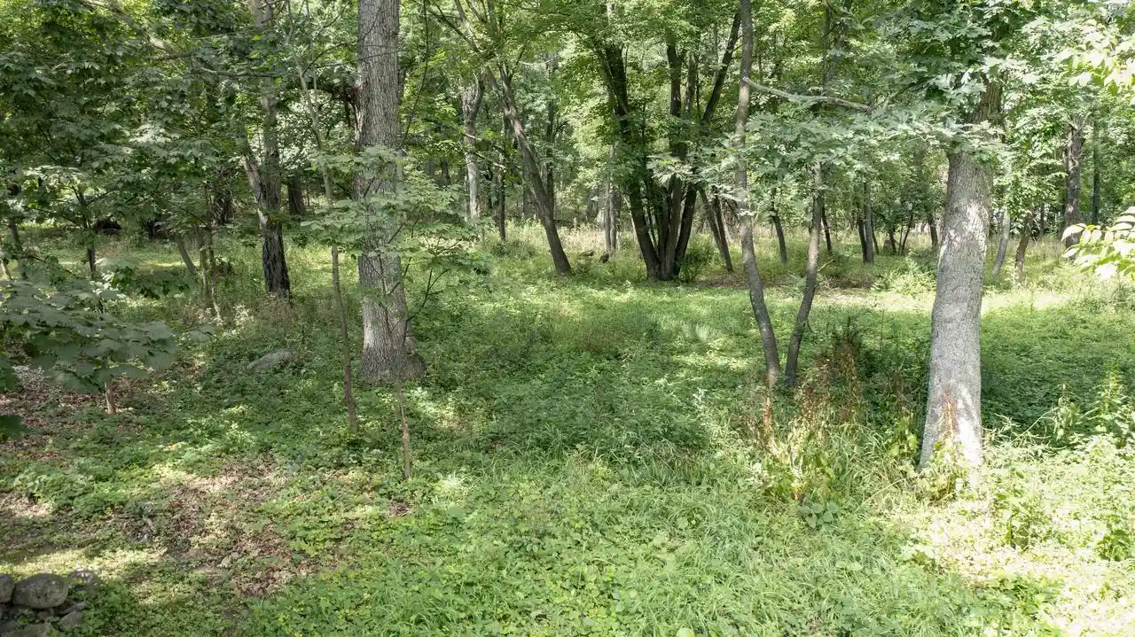 5th image of Morton Street Street, Waupaca, WI 54981 | MLS# 50330880